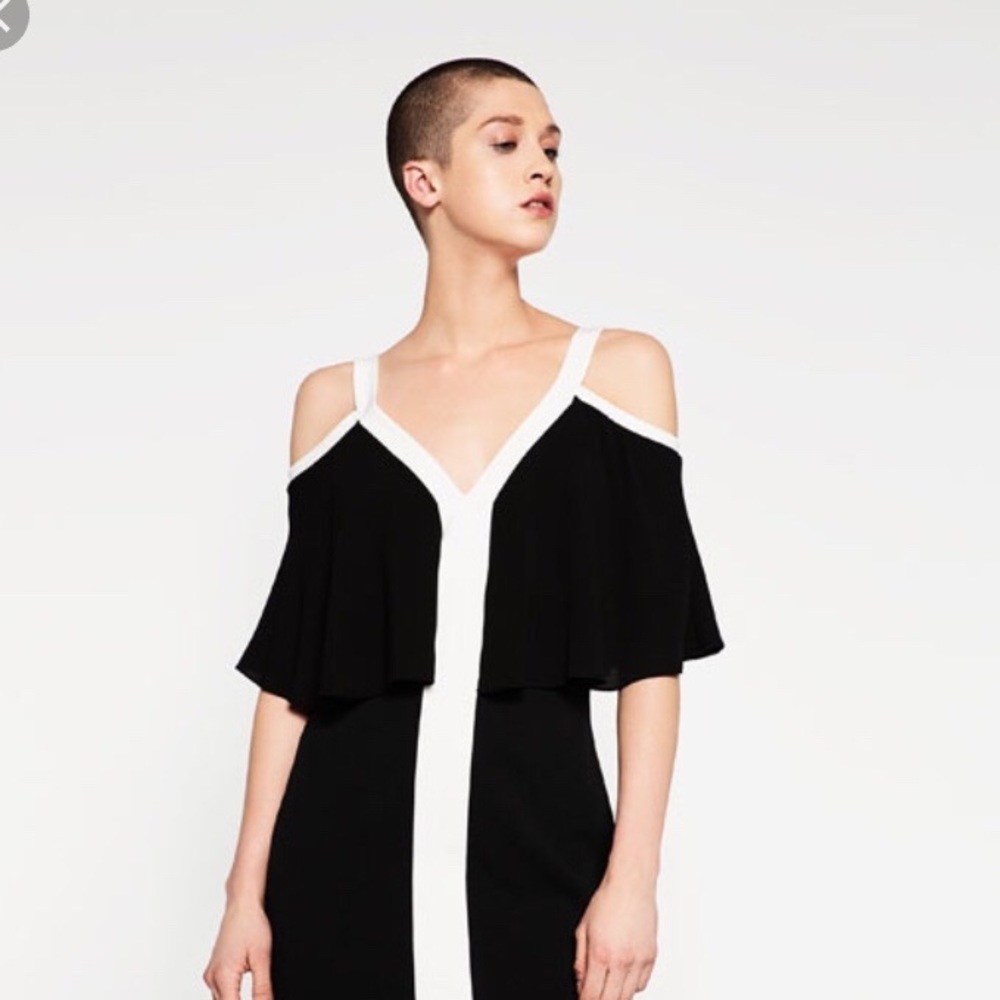 Zara Two Tone Dress